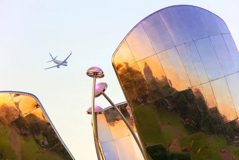 floralis generica buenos aires