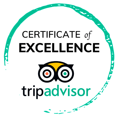 tripadvisor reviews