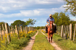 argentine gaucho on horseback