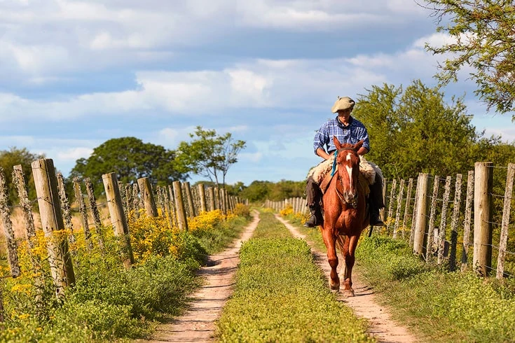 argentine gaucho on horseback