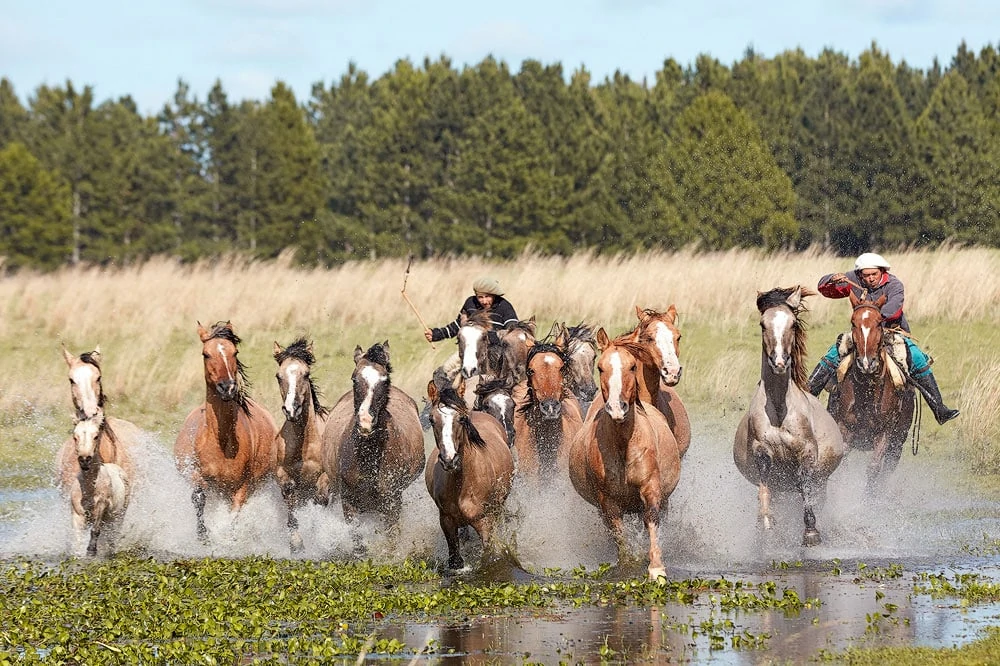 estancia in argentina