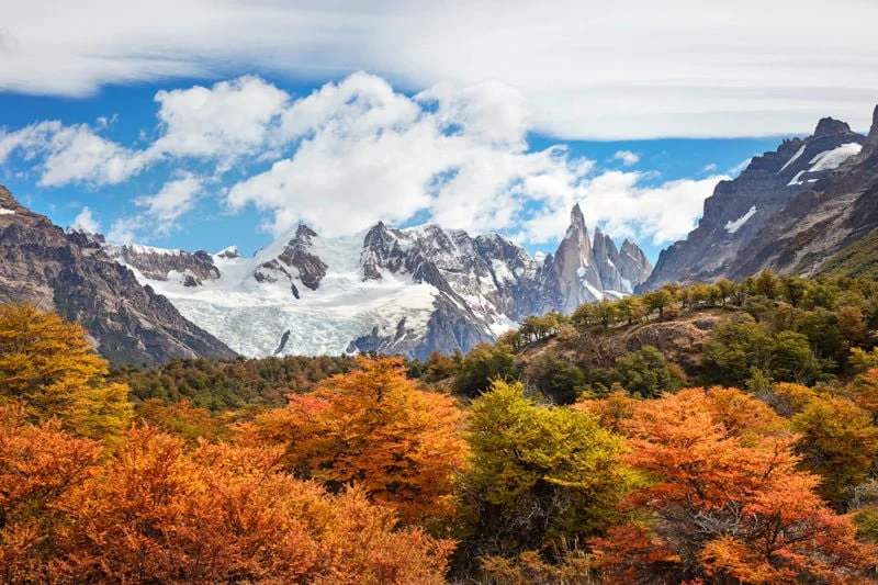 autumn in patagonia