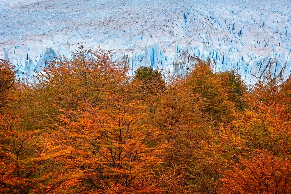 perito moreno in autumn