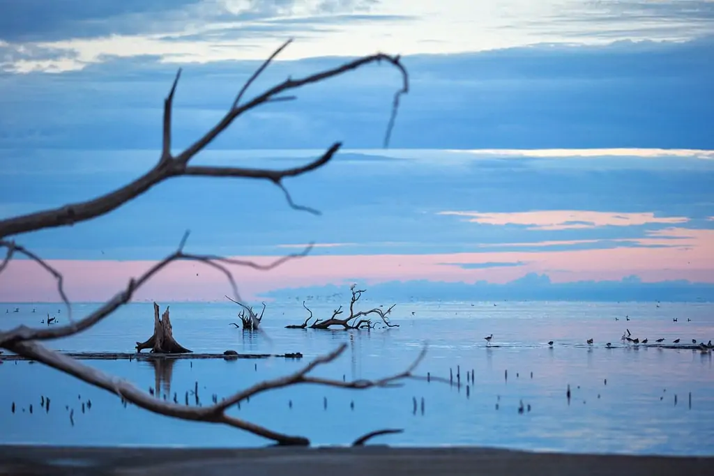 mar chiquita landscape