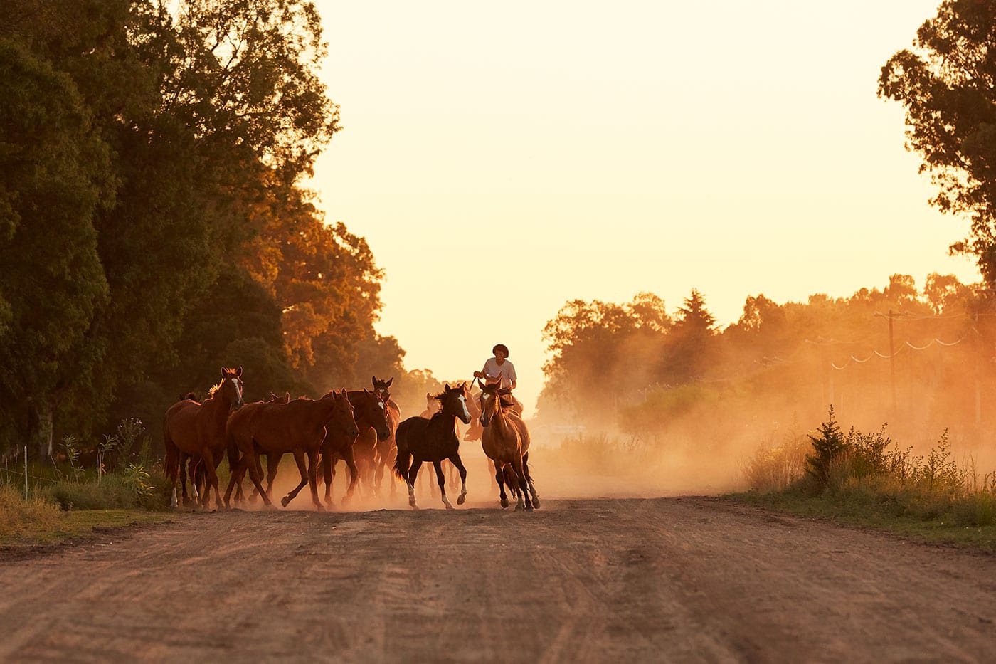 gauchos horseback sunset