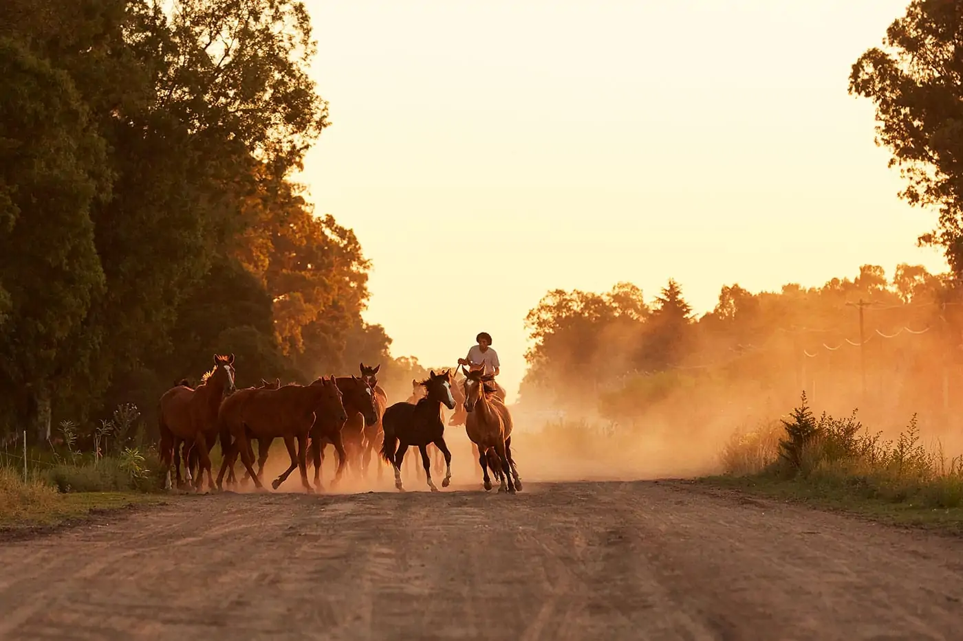 gauchos horseback sunset