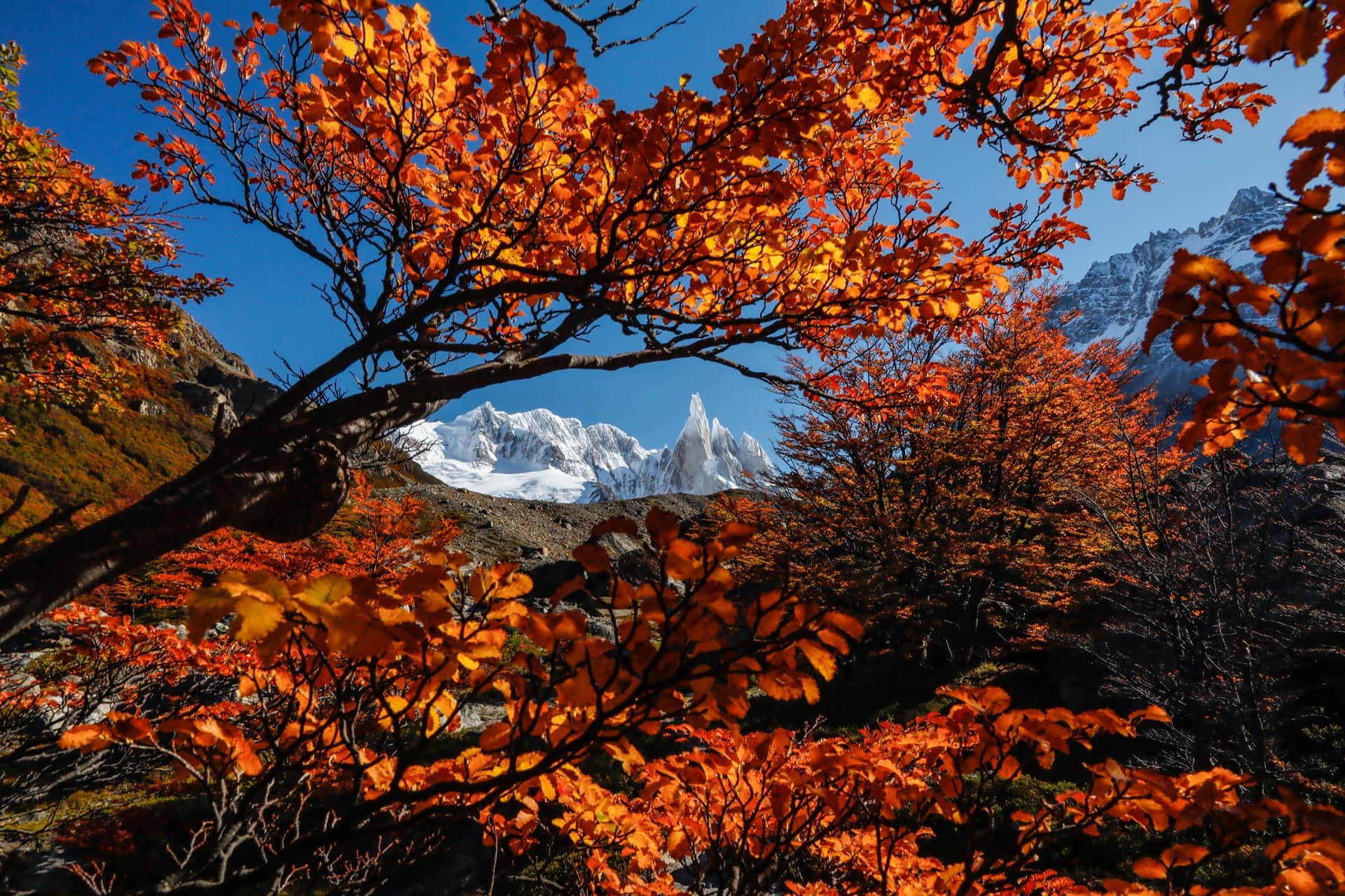 autumn in patagonia