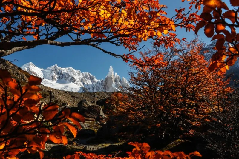 autumn in patagonia