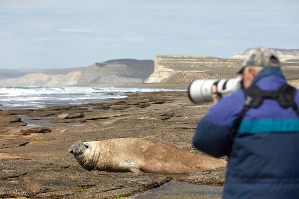 Photographer in Peninsula Valdes