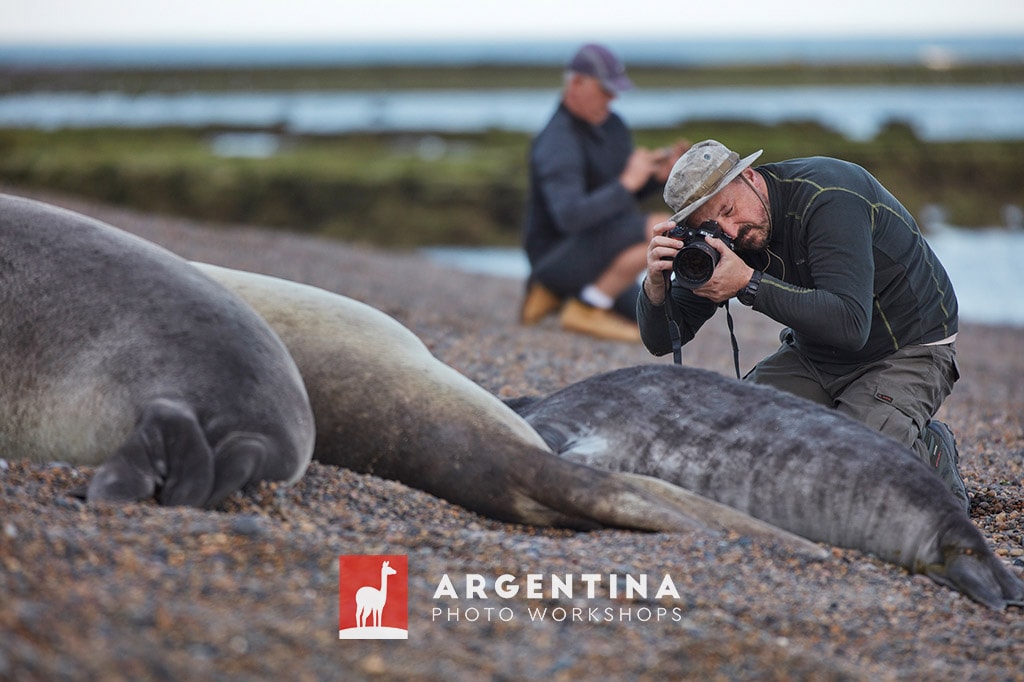 photographer in peninsula valdes