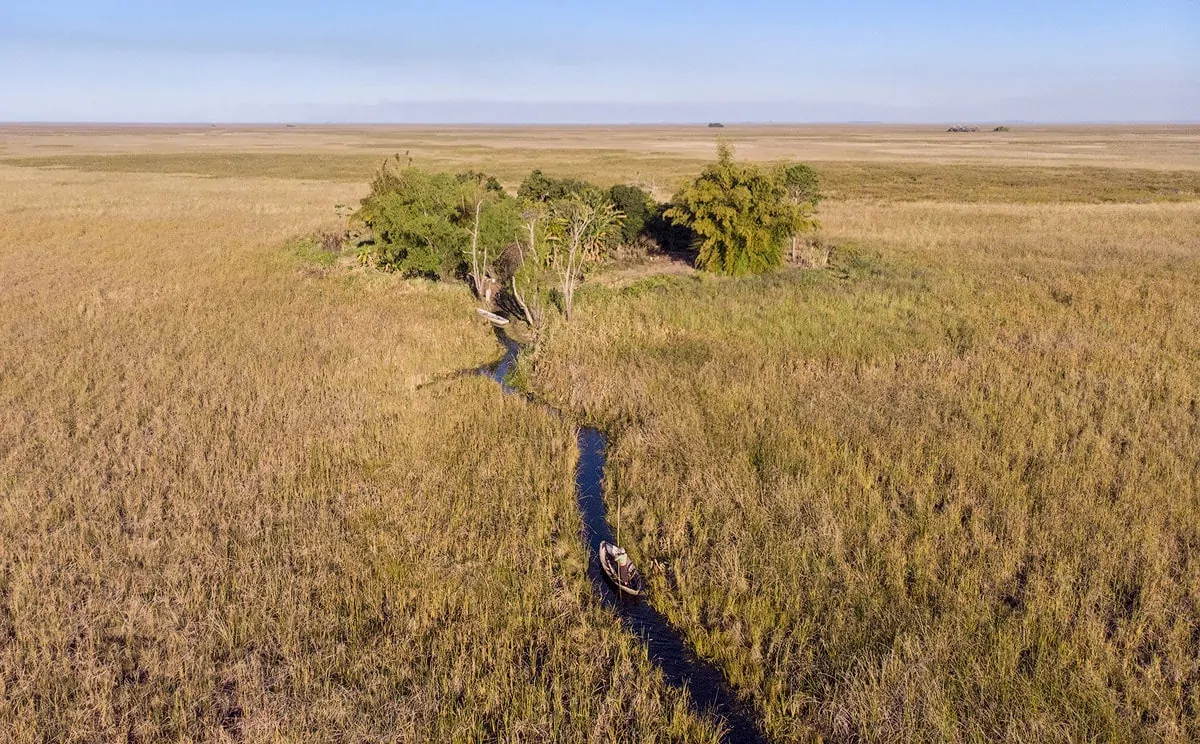 Ibera wetlands