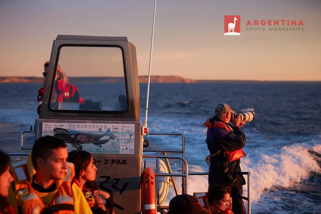 photo tour in Peninsula Valdes