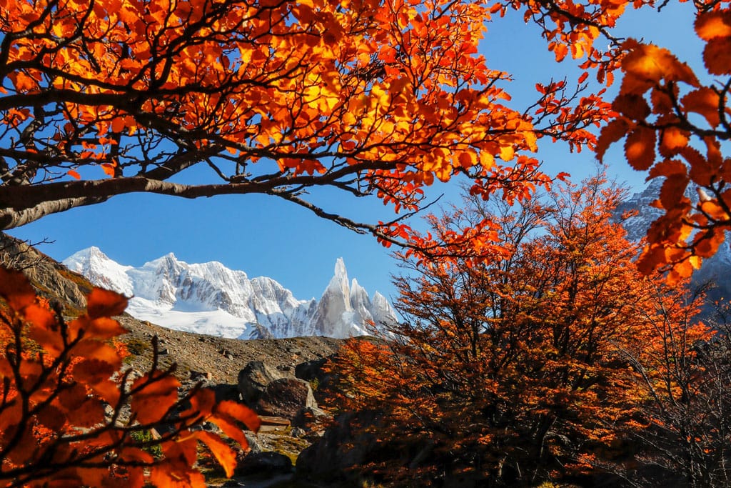 autumn in patagonia