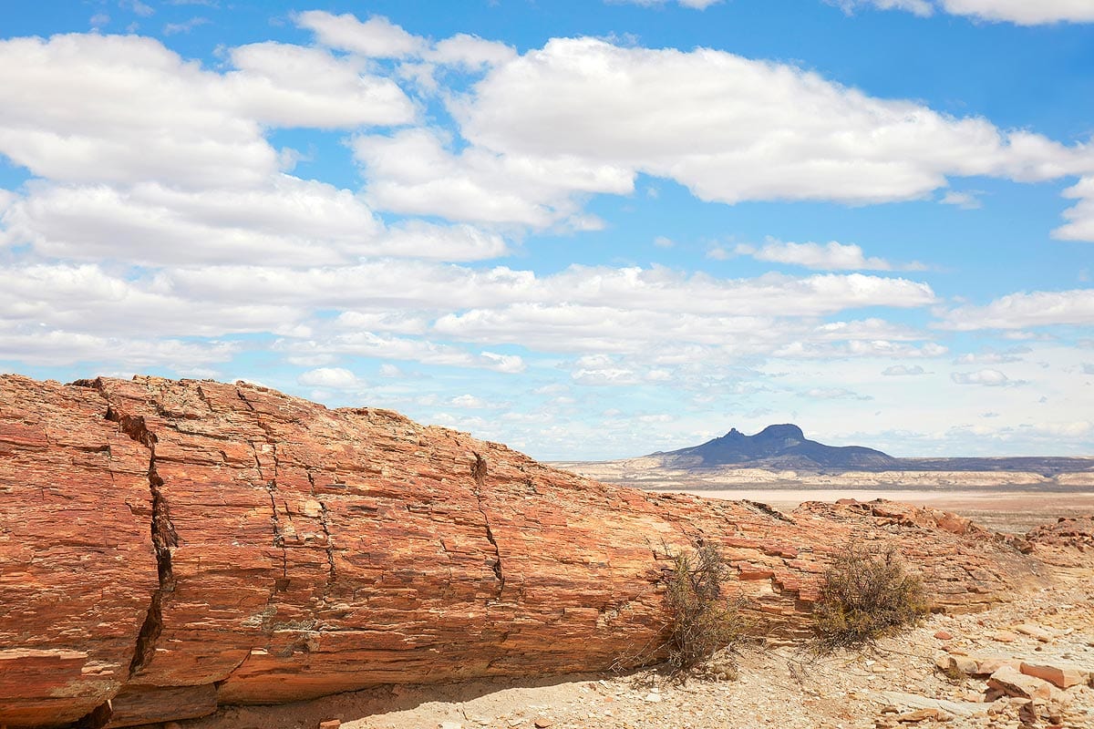 jaramillo petrified forest Patagonia