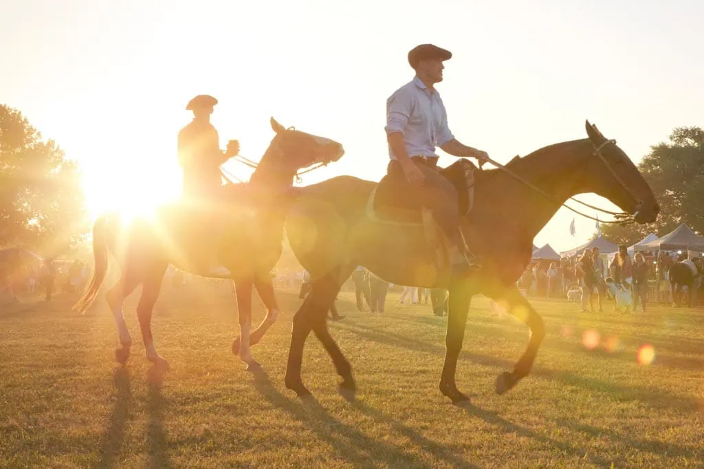 fiesta de la tradición Areco