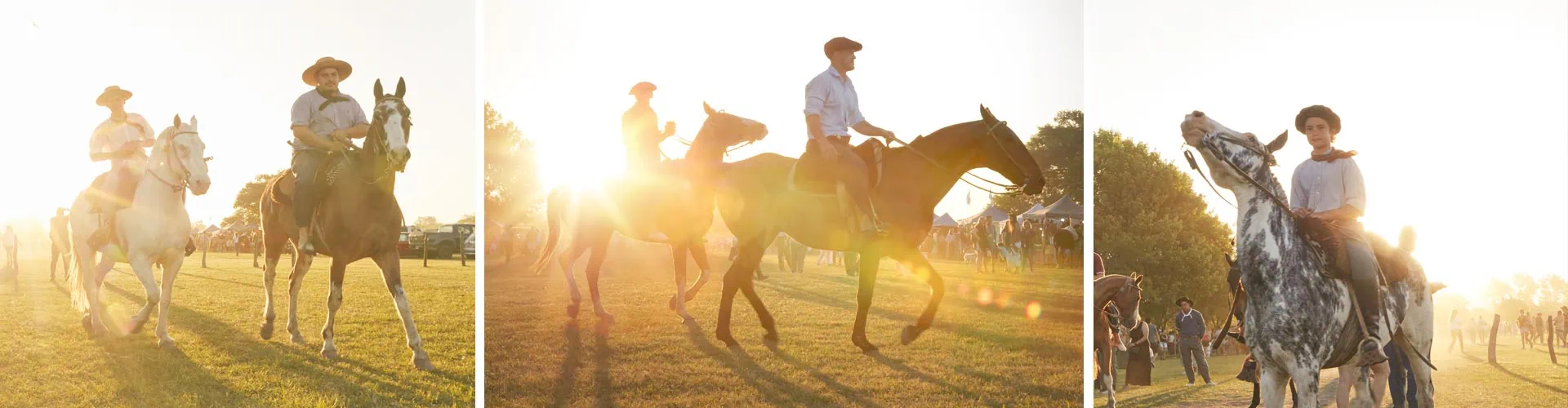 fiesta de la tradición in Areco