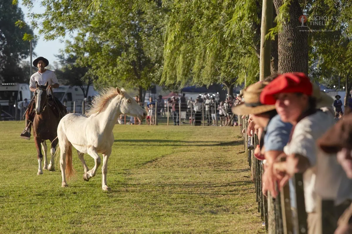 areco tradition festival