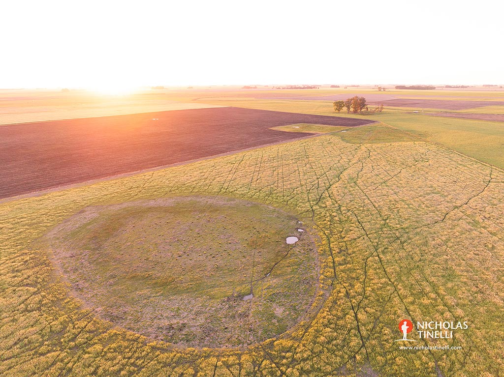 pampas landscape drone photography