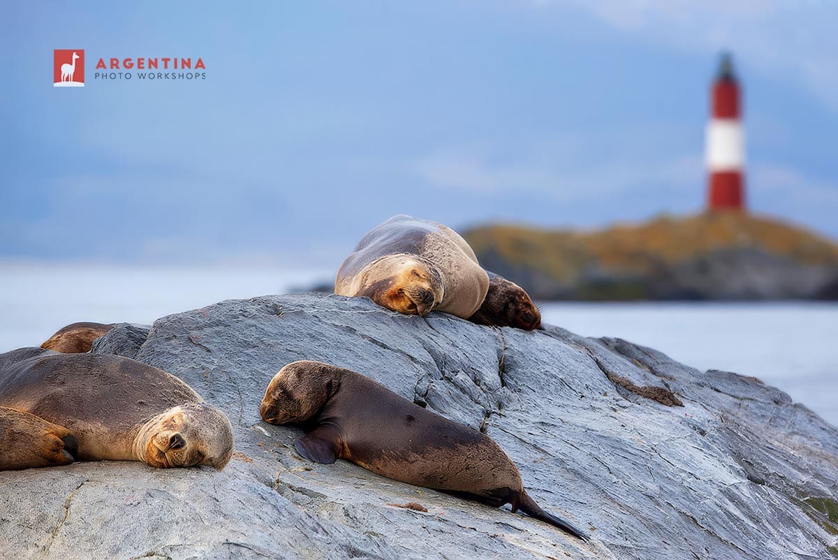 photography tours in ushuaia
