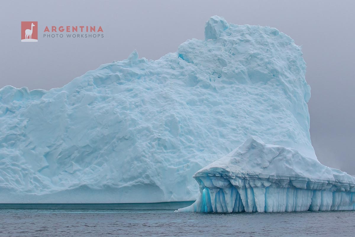 How to Back Up Photos on an Antarctica Expedition